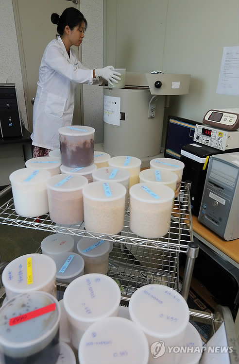 서울지방식품의약품안전청 한 연구원이 수산물검체에 대한 방사능 검사를 하고 있다.