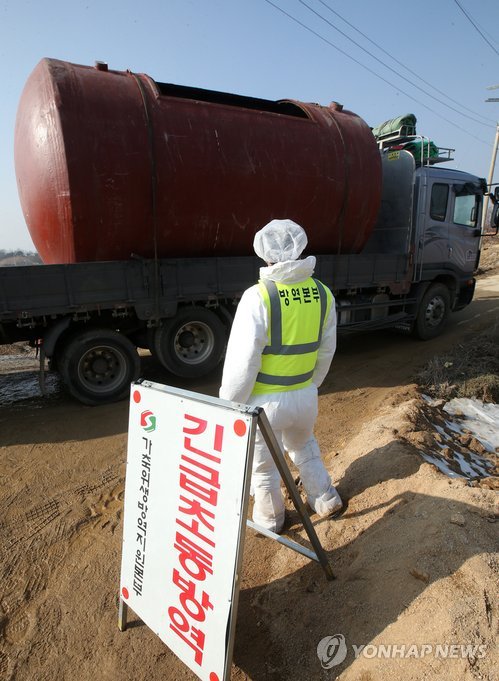 4년전 악몽 재연, 경기도 이천 구제역 발생