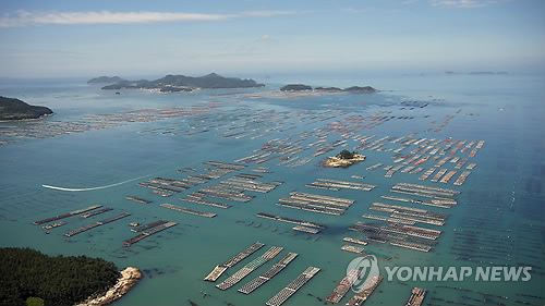완도 전복양식장