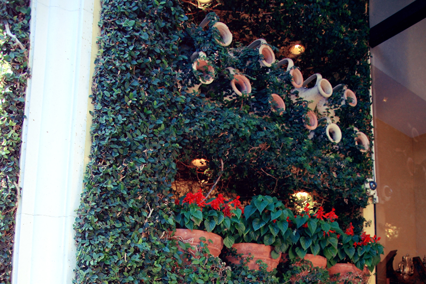 LA 비버리힐즈 로데오거리