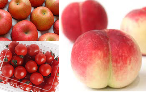 당지수 낮은 음식