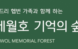 세월호 기억의 숲