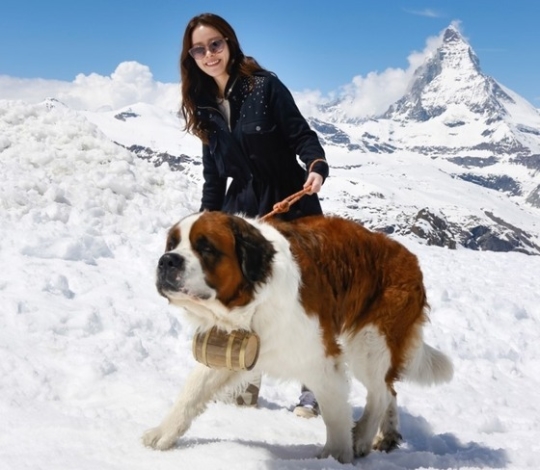 한지민과 세인트 버나드