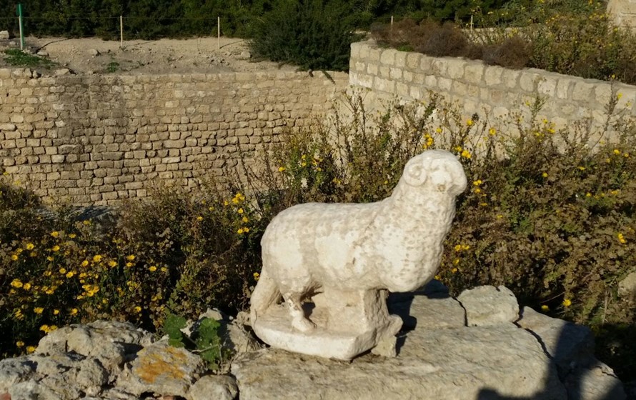 이스라엘에서 발견된 비잔틴 시대의 것으로 보이는 고대 어린양 상