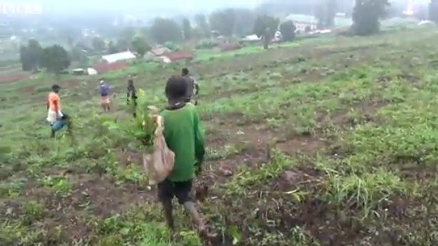 우간다 가톨릭 성당 소유 내 땅에서 노동을 하고 있는 어린이
