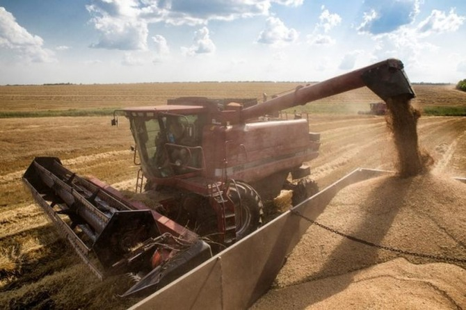 우크라이나 밀 적체량은 늘어가는데, 세계 곳곳에 식량난 징조