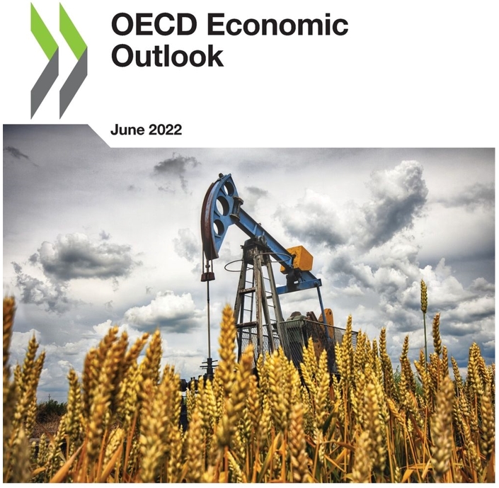 OECD, 경제성장 전망치 3.0%로 하향조정