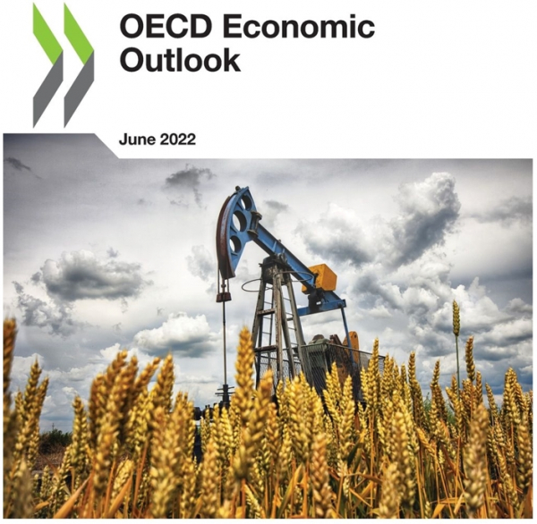 OECD, 경제성장 전망치 3.0%로 하향조정
