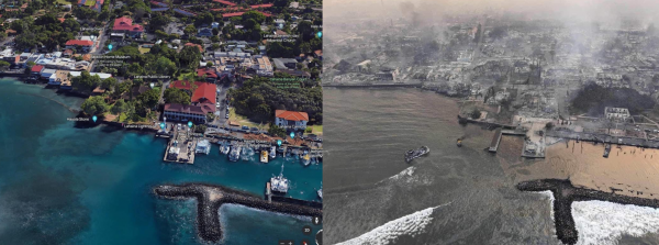 화와이 산불 전후 모습