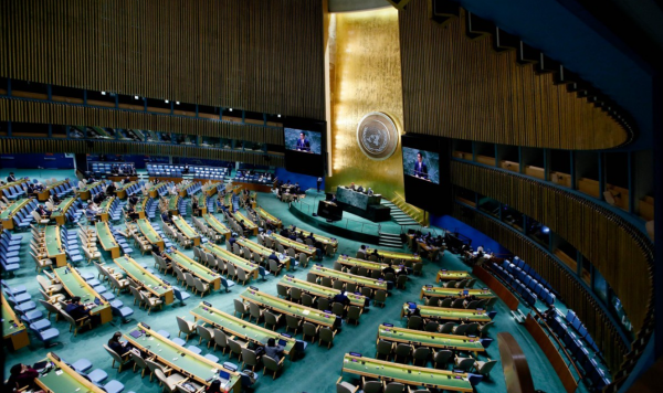 유엔 총회