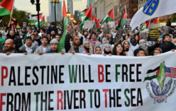 팔레스타인 지지시위