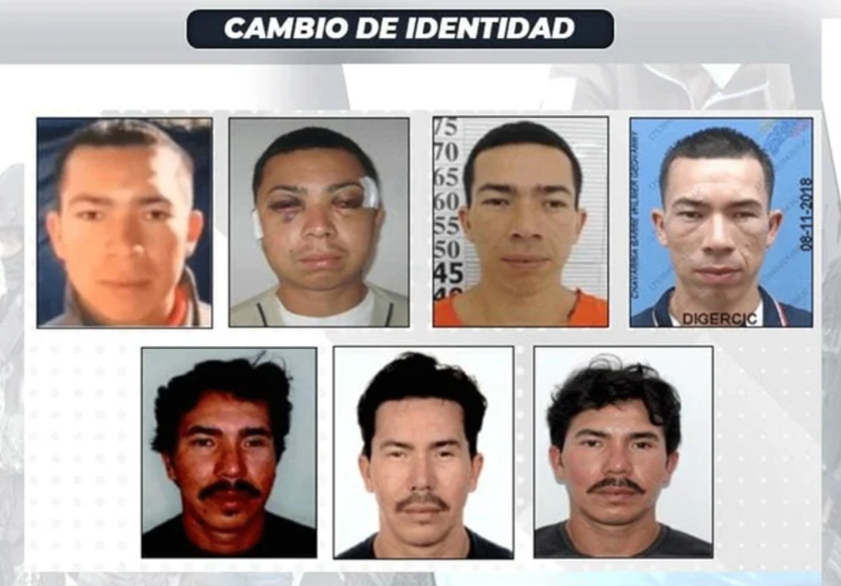 마약왕 윌머 차바리아