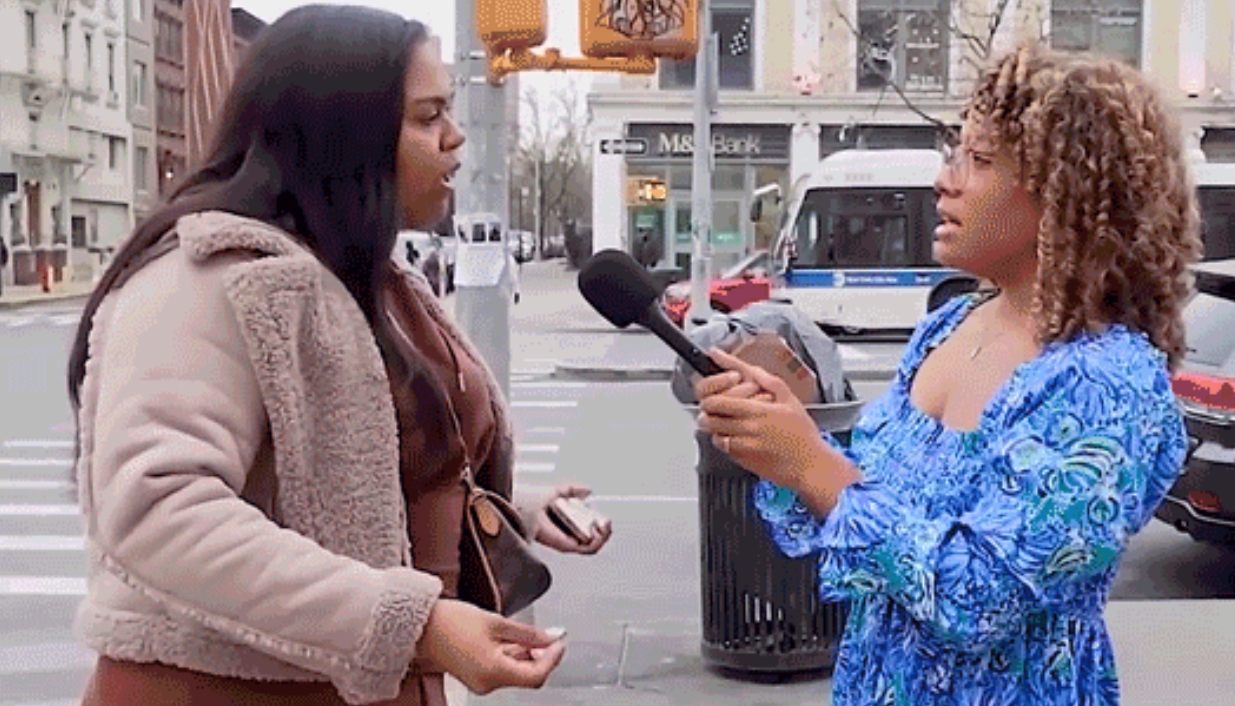 친생명 보수 할동가 